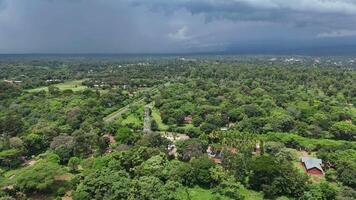 Lush green forest with a few houses in the distance video