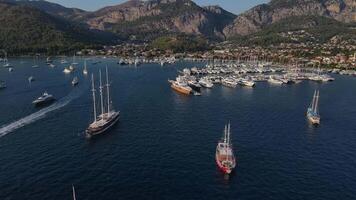Aerial. A large group of yachts is moored in the harbor. video
