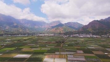 Aerial view of vast farmland with village at mountain base in Lombok video