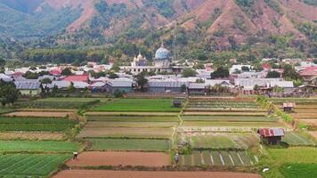 Aerial view of lush farmlands and mosque in Lombok, Indonesia video