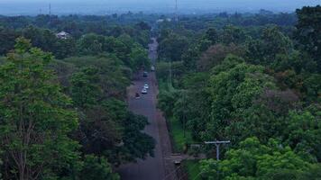 Aerial view of a tree-lined road in Tanzania video