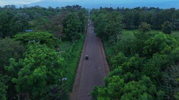 Aerial view of a rural road surrounded by greenery video