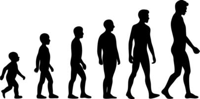 Editable Silhouette Depicting the Sequence of Life from Childhood to Adulthood vector