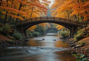 A bridge over a river in the fall photo