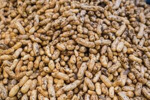 Piles of raw local peanuts are high in protein and have many benefits. They are a snack food ingredient in many menus and are commonly sold in markets and street food. photo