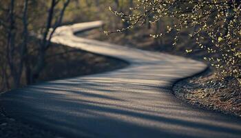 Winding Asphalt Path Through Spring photo