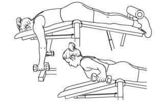 Incline Bench Dumbbell Row Exercise Strength Training Illustration vector