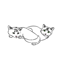 Two green eyes are staring at the camera png