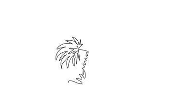 Animated self drawing of continuous line draw beauty exotic date palm tree for national park logo. Decorative phoenix dactylifera tree concept for plantation company. Full length single line animation video