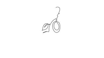 Animated self drawing of continuous line draw pile healthy organic marula fruit for orchard logo identity. Freshness core ingredients concept for fruit icon template. Full length single line animation video