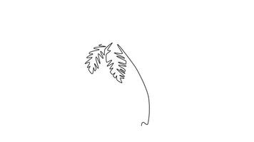 Animated self drawing continuous line draw coconut tree logo icon. Decorative cocos nucifera palm for hello summer greeting post card. Tourism travel vacation concept. Full length one line animation video