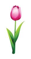 Soft pink tulip with smooth petals and leaves, ideal for spring designs. Cartoon illustration vector