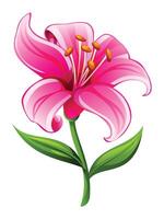 Soft pink lily flower with smooth petals and leaves, perfect for elegant floral designs. Cartoon illustration vector