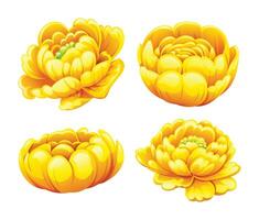 Set of yellow peony flowers. Cartoon illustration vector