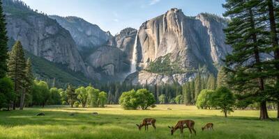A Full HD view of Yosemite Valley, with waterfalls cascading down cliffs and a family of deer grazing in the foreground photo