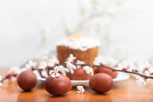 Easter cake, painted egg and blooming branch, spring composition on wooden table photo