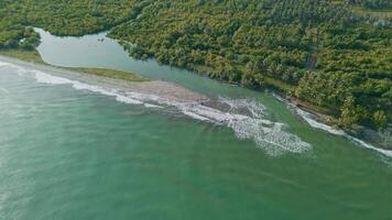 Aerial View of Serene Green Tropical Landscape Featuring Ocean Waves and Lush Vegetation video