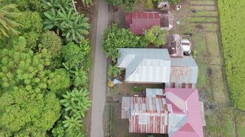 Aerial View of Rustic Homes Surrounded by Lush Greenery and Agricultural Fields in a Serene Location video