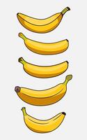 banana set template on white background for decoration vector