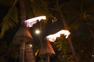 Two tiki torches flicker in the foreground against a dark sky, framed by tall palm trees, streetlights, and faint greenery in a Hawaiian setting. photo