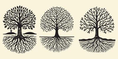 Handmade Artistic Tree with Roots Engraved Style vector