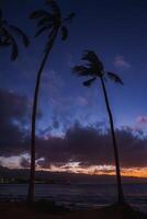 Silhouetted palm trees stand against a vibrant twilight sky near a red lit lighthouse. The ocean and distant coastal lights complete the tropical view. photo