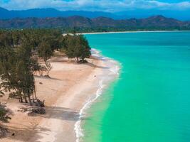 Turquoise waters meet a sandy beach bordered by trees, with lush green mountains in the background, captured in an aerial view on Oahu island. photo