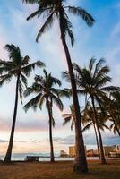 Tall palm trees frame a serene beach scene with a pastel sunset sky, Honolulu's skyline, sandy ground, a bench, and distant mountains in view. photo