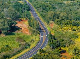 Aerial view of a winding road on Kauai island, Hawaii, surrounded by dense tropical vegetation, palm trees, red soil, and grassy areas with visible vehicles. photo