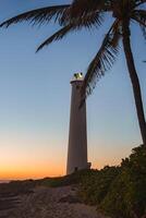 A tall white lighthouse stands against a sunset sky, framed by a palm tree and lush greenery, with a sandy path leading to its base in Hawaii. photo
