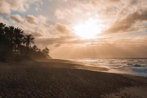 Golden sunset light filters through clouds over the ocean, with palm trees and greenery lining a sandy beach in Hawaii. Faint footprints are visible. photo