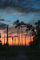 A serene sunset scene with tall palm trees silhouetted against an orange and blue sky, a paved pathway, and the ocean in the background on a Hawaii island. photo
