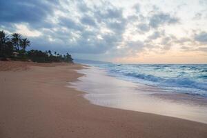 A tranquil beach scene at sunrise with golden sand, gentle waves, scattered clouds, and palm trees lining the shore, evoking Hawaii's coastal charm. photo