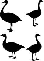 Set of silhouettes of ducks icon vector