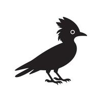Black Bird on a branch vector