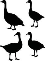 Set of silhouettes of ducks vector