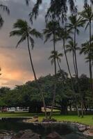 Palm trees sway against an orange and gray sunset sky, with a large banyan tree, a calm pond, and tropical vegetation in a Hawaiian park setting. photo
