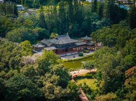 The Byodo In Temple in Oahu, Hawaii, surrounded by dense trees, a serene pond, a red bridge, and manicured gardens, showcasing intricate architecture. photo
