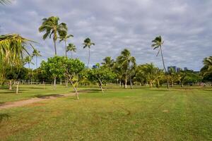 A green park with scattered palm trees, dirt paths, and open grassy areas under a cloudy sky. Modern high rise buildings are visible in the background. photo