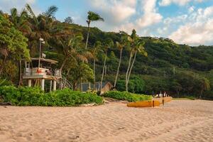 A lifeguard tower on stilts stands near a yellow canoe on a sandy beach, surrounded by palm trees and lush greenery with hills in the background. photo