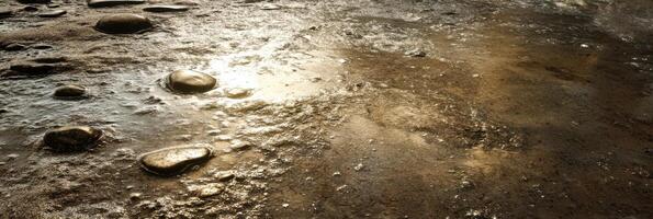 Textured muddy surface with sunlight reflecting over smooth stones photo