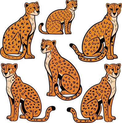 Six Cheetah Collection Illustrations