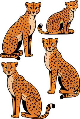 Four Cheetahs Sitting