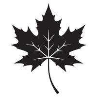 Intricate Maple Leaf Silhouette Illustration Botanical Symbol Design vector