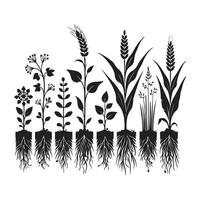 Diverse Plants With Roots Art Illustration for Botany Studies vector