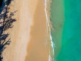 Golden sand meets turquoise waters on Oahu island, Hawaii. Gentle waves create white foam, with tree shadows adding depth to the tranquil scene. photo