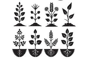 Various Silhouette Plants with Roots Set for Gardening Projects vector