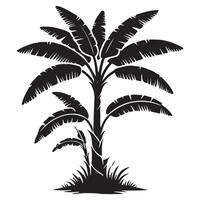 Simple Banana Tree Silhouette Illustration Tropical Environment vector