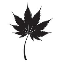 Maple leaf illustration Autumn season symbol and design element vector