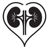 Pair of Human Kidneys in Heart Shape Medical Graphic vector